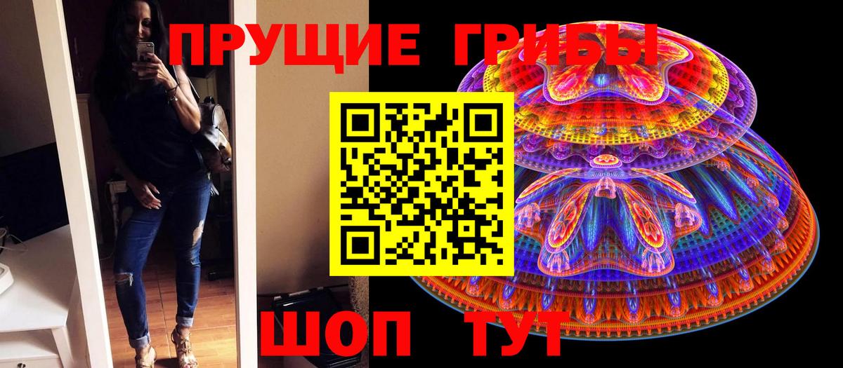 Сочи  Галлюциногенные грибы GOLDEN TEACHER  закладка  Галлюциногенные грибы ЛСД  Вход с VPN 